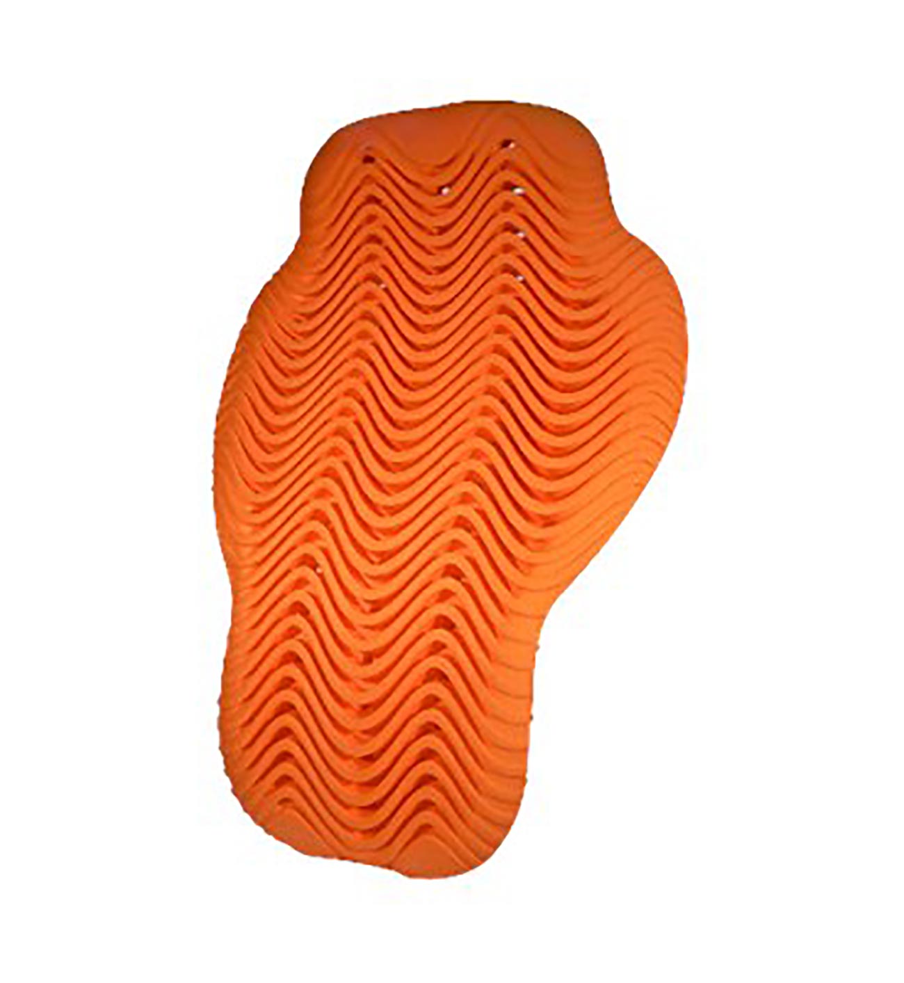 <img src= ”Back_Protector.jpg” alt = “d30 Back Protector” / >